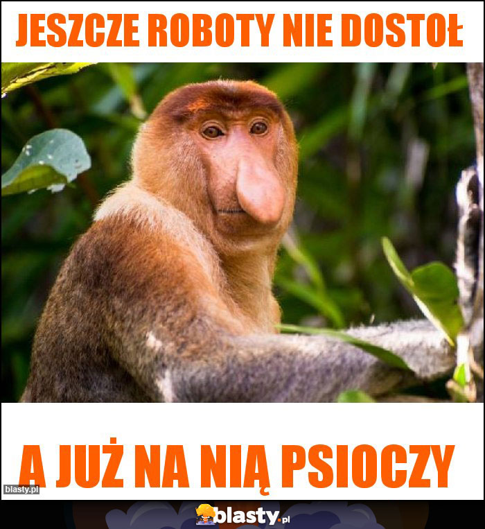 Jeszcze roboty nie dostoł