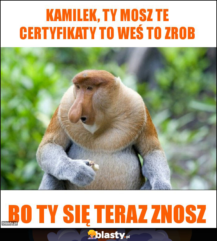 Kamilek, ty mosz te certyfikaty to weś to zrob