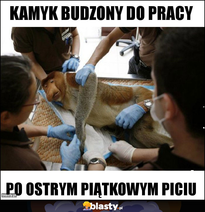 Kamyk budzony do pracy