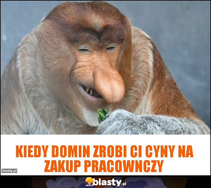 Kiedy Domin zrobi ci cyny na zakup pracownczy