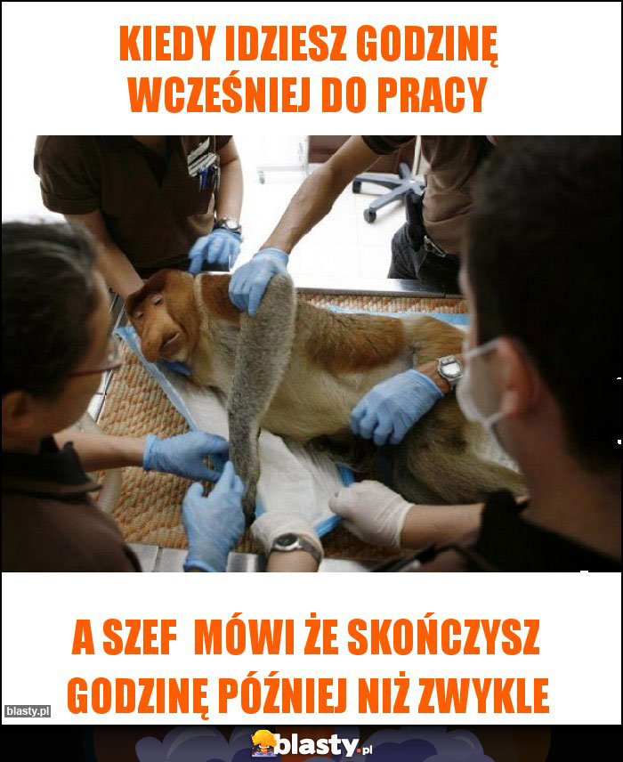 Kiedy idziesz godzinę wcześniej do pracy