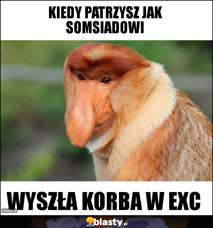 Kiedy patrzysz jak somsiadowi