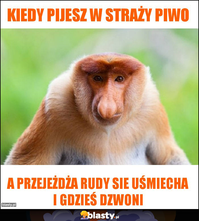 KIEDY PIJESZ W STRAŻY PIWO