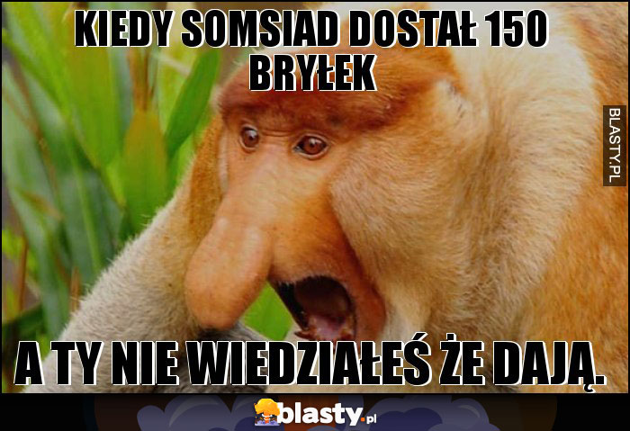 Kiedy somsiad dostał 150 bryłek