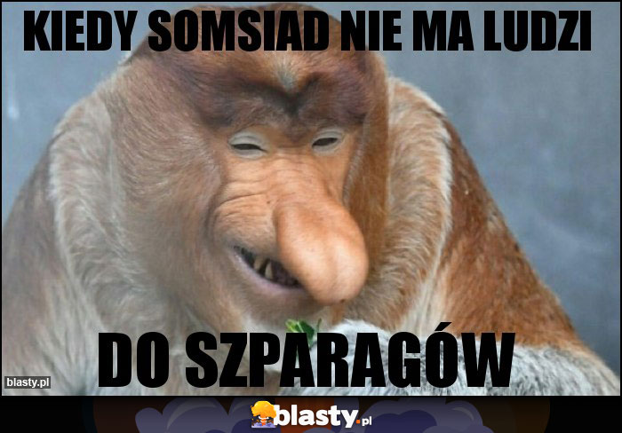 kiedy somsiad nie ma ludzi