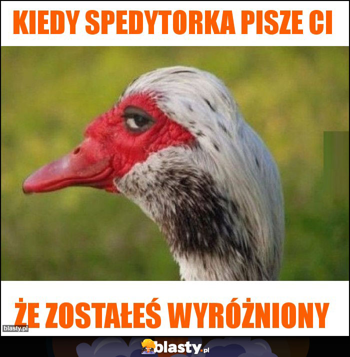 Kiedy spedytorka pisze ci