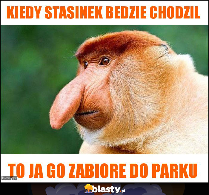 kiedy stasinek bedzie chodzil