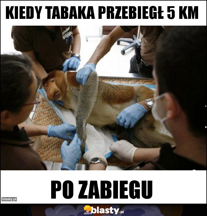 Kiedy tabaka przebiegł 5 km