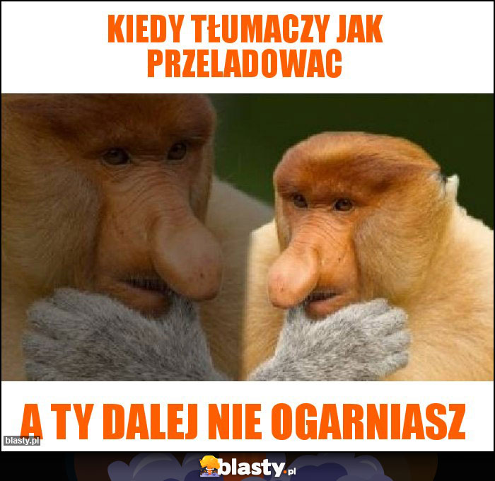 Kiedy tłumaczy jak przeladowac