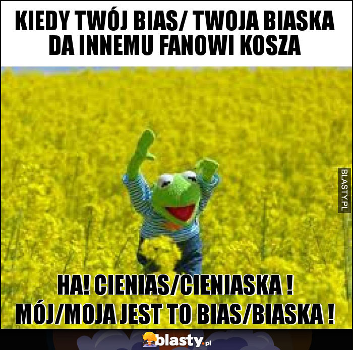 Kiedy twój bias/ twoja biaska da innemu fanowi kosza