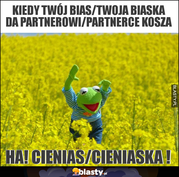 Kiedy twój bias/twoja biaska da partnerowi/partnerce kosza