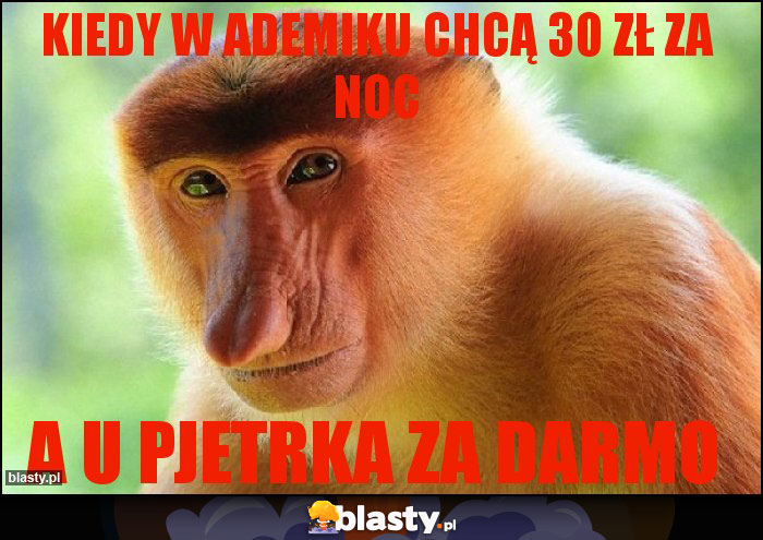 Kiedy w ademiku chcą 30 zł za noc