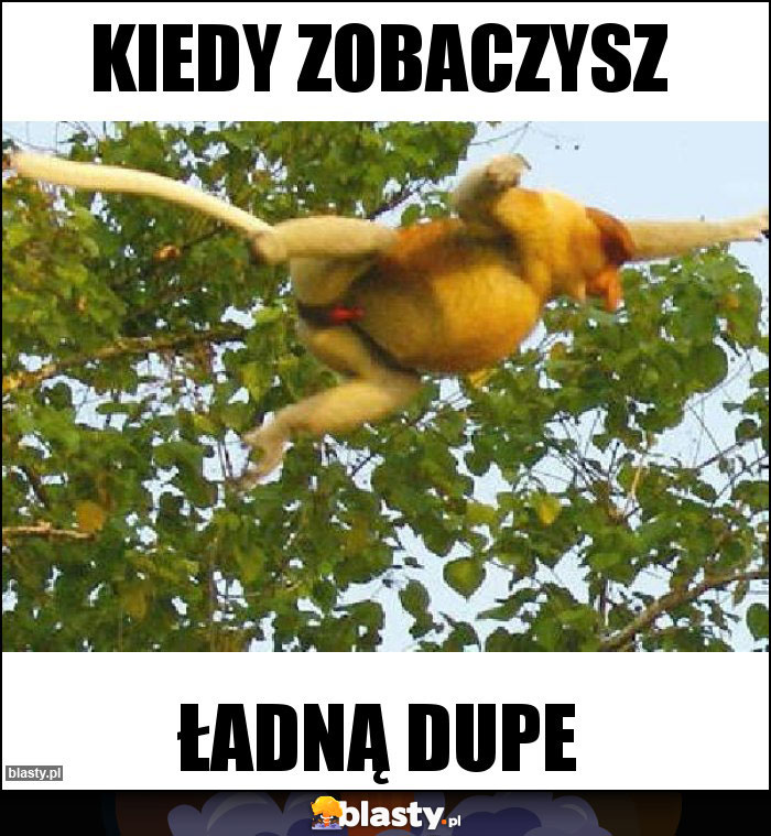 kiedy zobaczysz