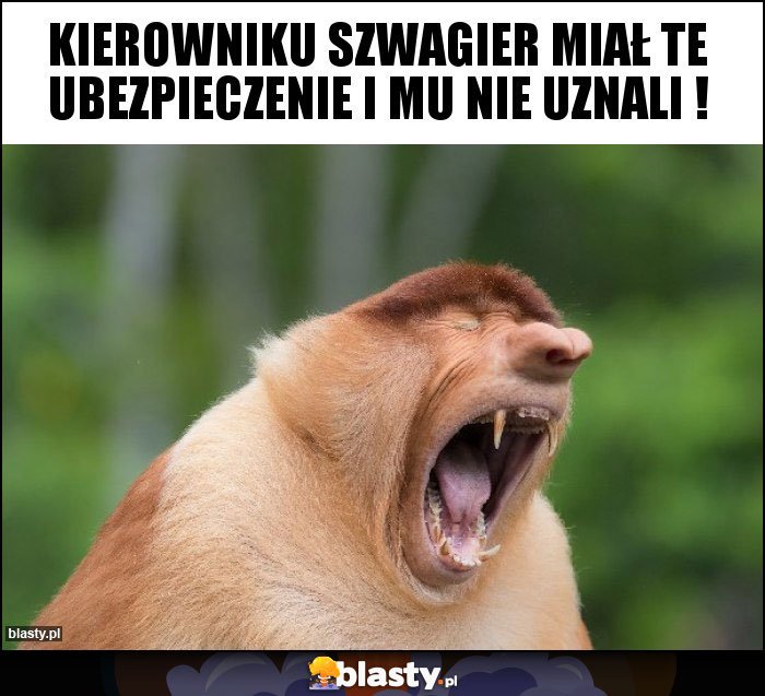 Kierowniku szwagier miał te ubezpieczenie i mu nie uznali !