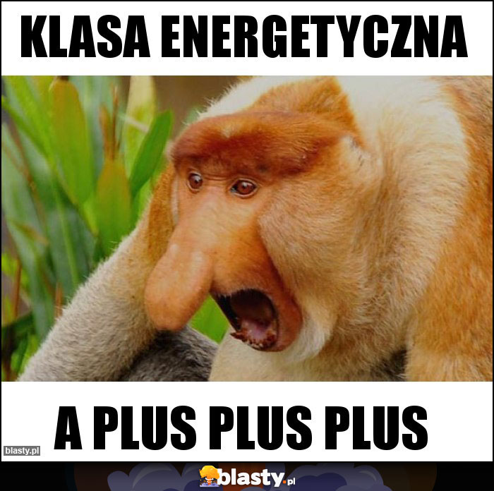 klasa energetyczna