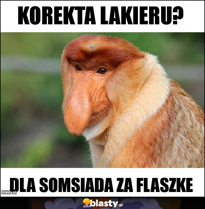 Korekta Lakieru?