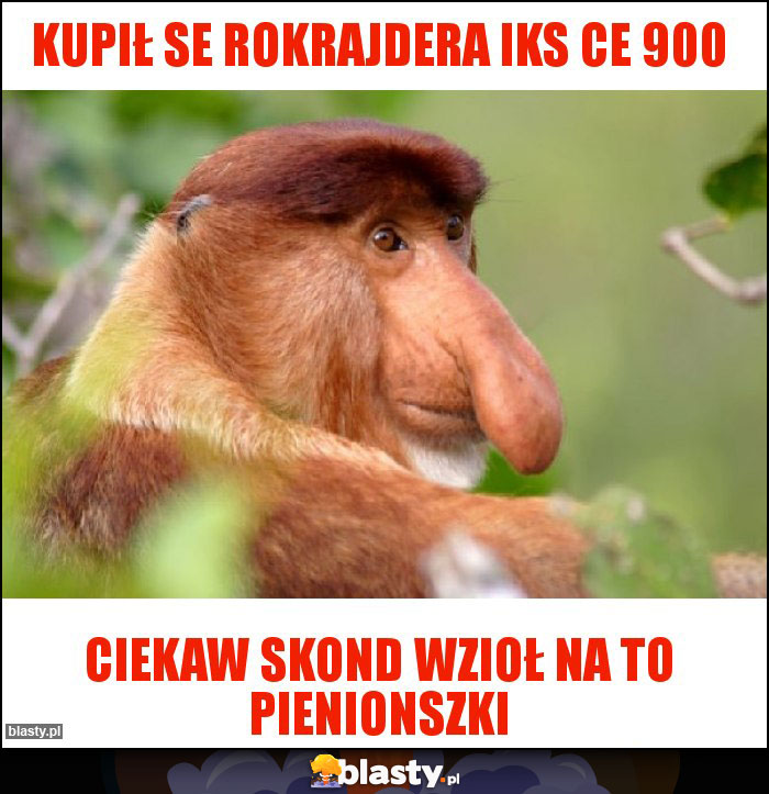 Kupił se rokrajdera IKS CE 900