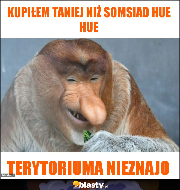 Kupiłem taniej niż somsiad hue hue