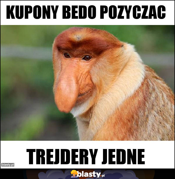 KUPONY BEDO POZYCZAC