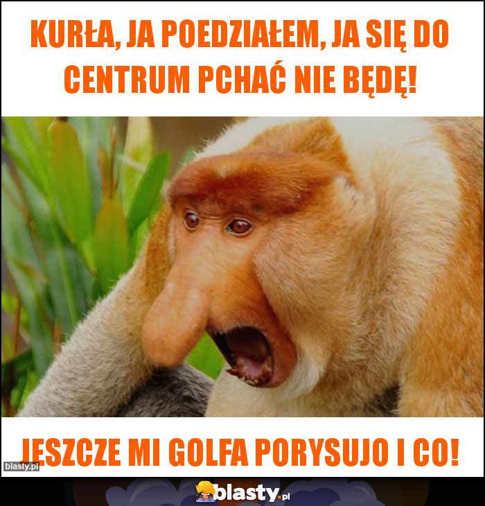 kurła, ja poedziałem, ja się do centrum pchać nie będę!