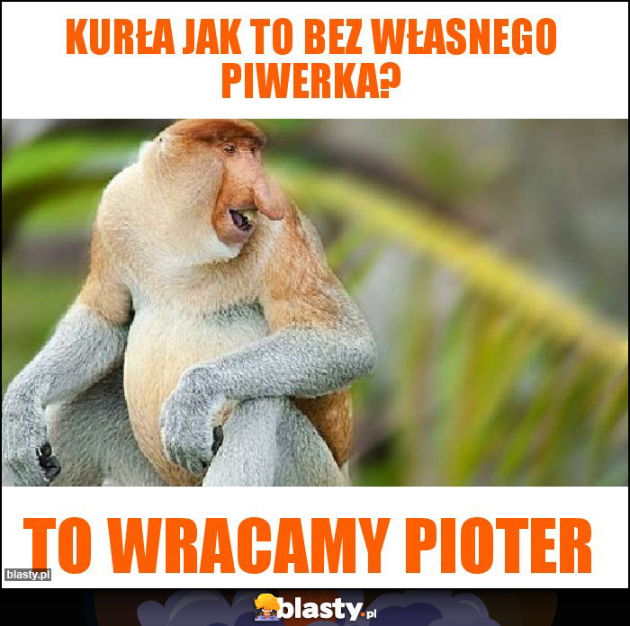 KURŁA JAK TO BEZ WŁASNEGO PIWERKA?