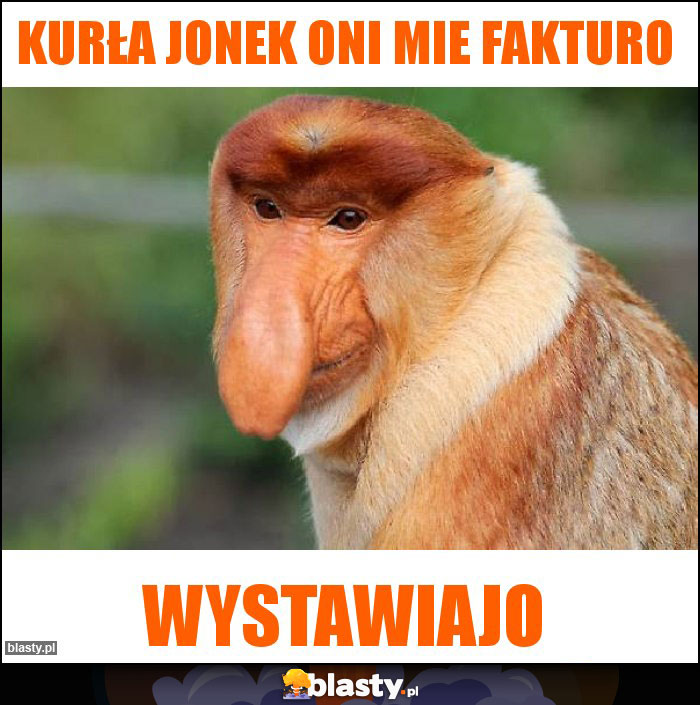 KURŁA JONEK ONI MIE FAKTURO