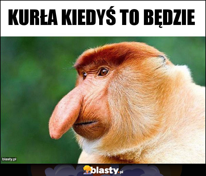 Kurła kiedyś to będzie