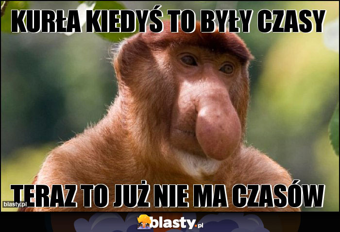 Kurła kiedyś to były czasy