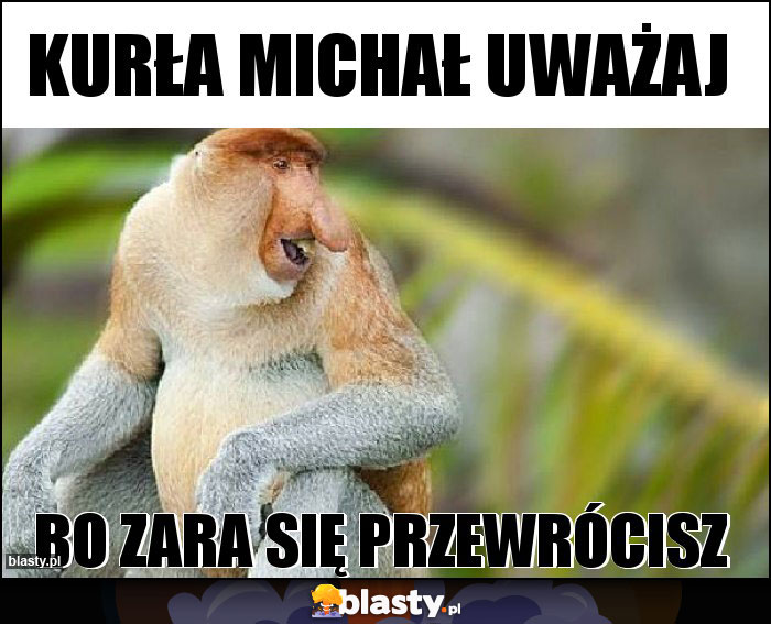 Kurła Michał uważaj