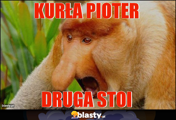 Kurła Pioter