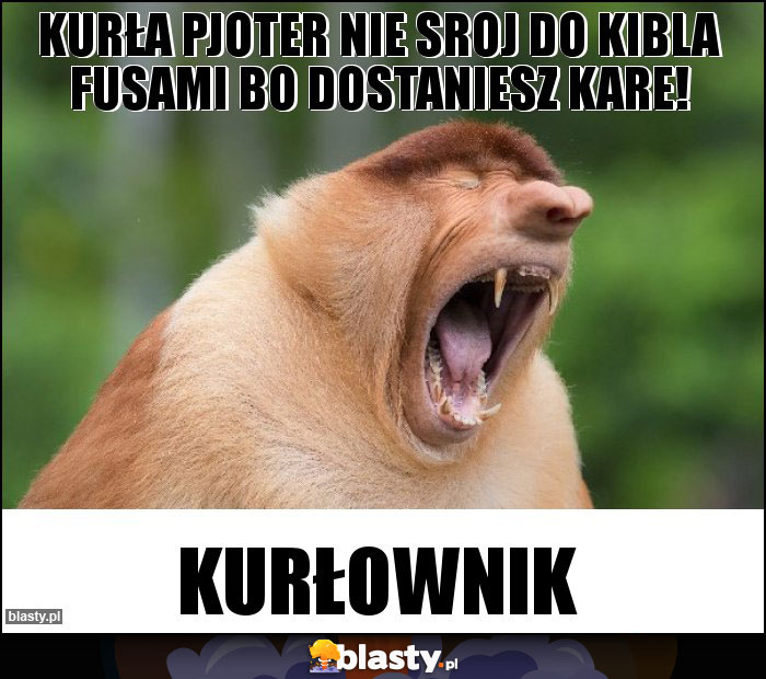 Kurła Pjoter nie sroj do kibla fusami bo dostaniesz kare!