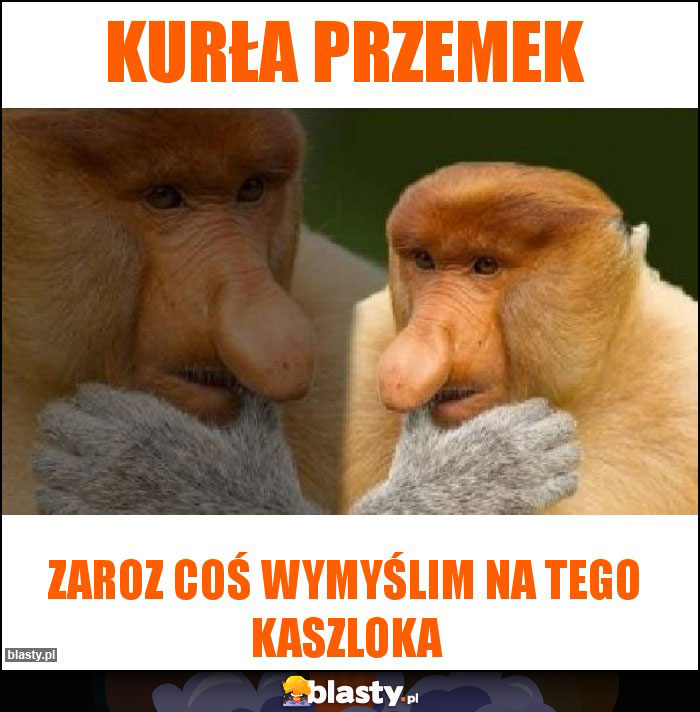 Kurła przemek