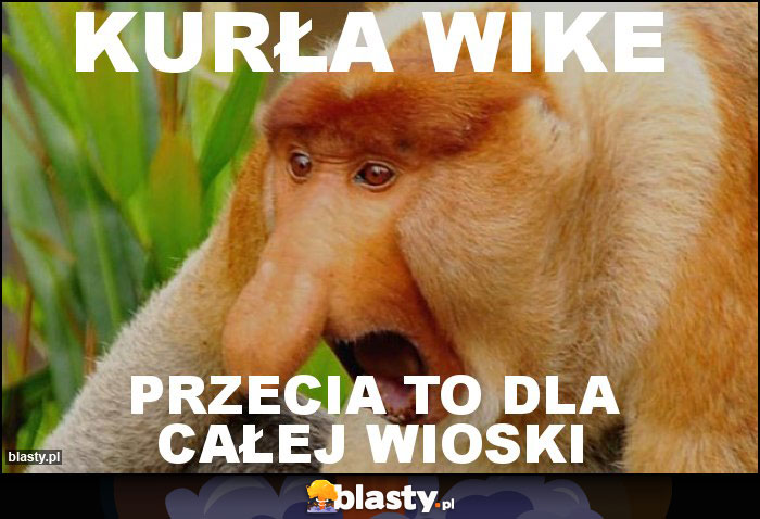 KURŁA WIKE