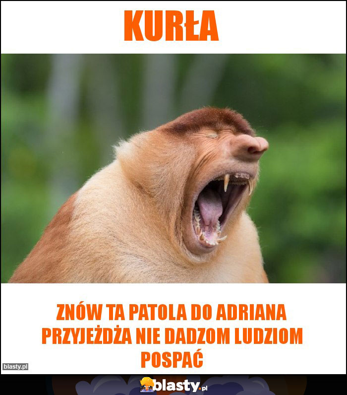 Kurła