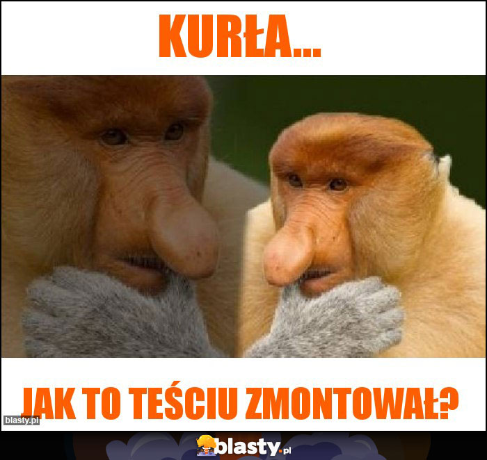 Kurła...