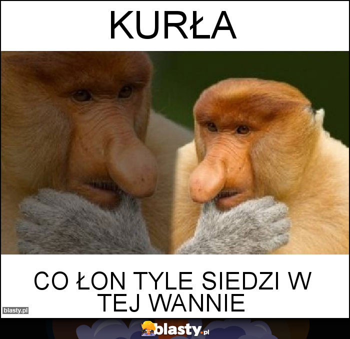 Kurła