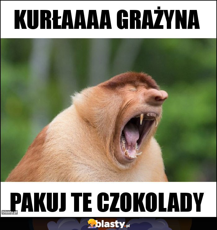 KURŁAAAA GRAŻYNA