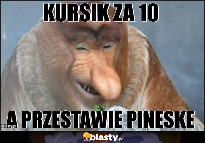 Kursik za 10