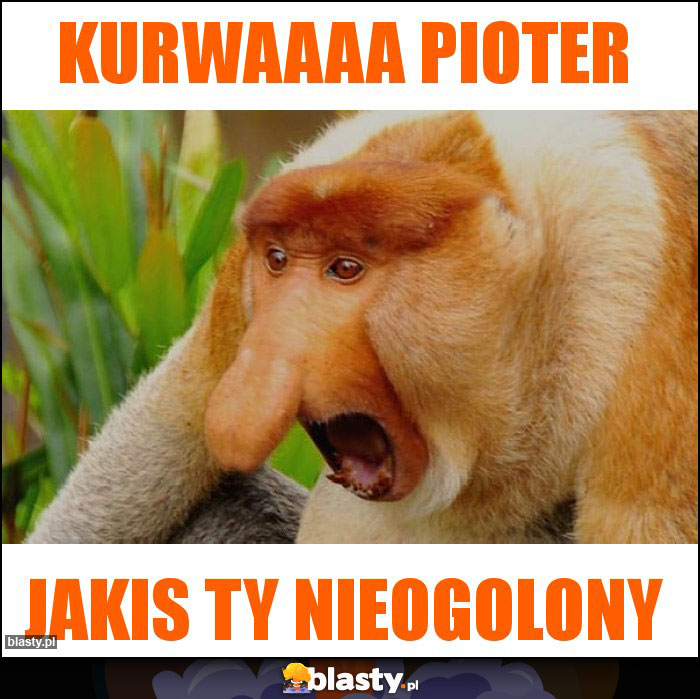 Kurwaaaa Pioter