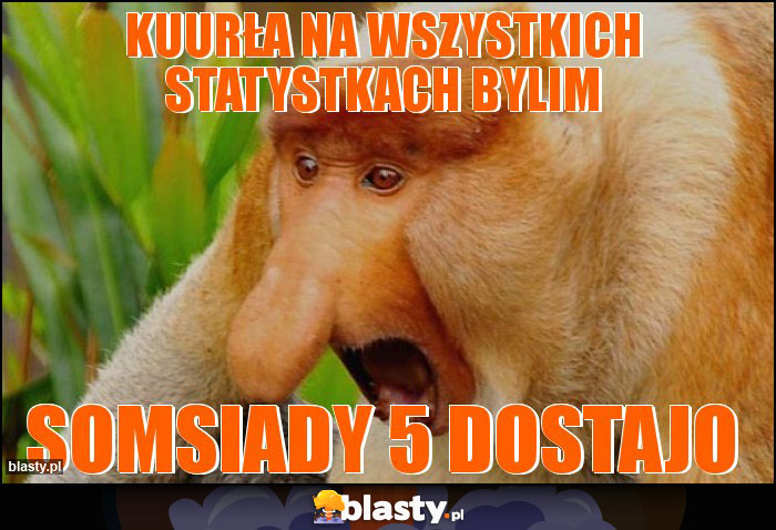 Kuurła na wszystkich statystkach bylim