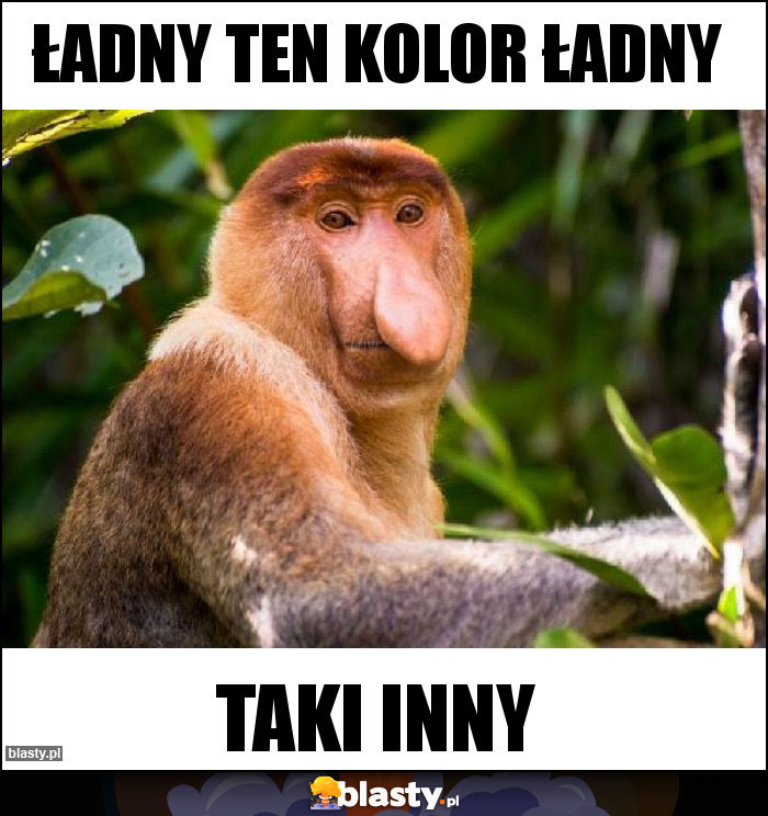 Ładny ten kolor ładny