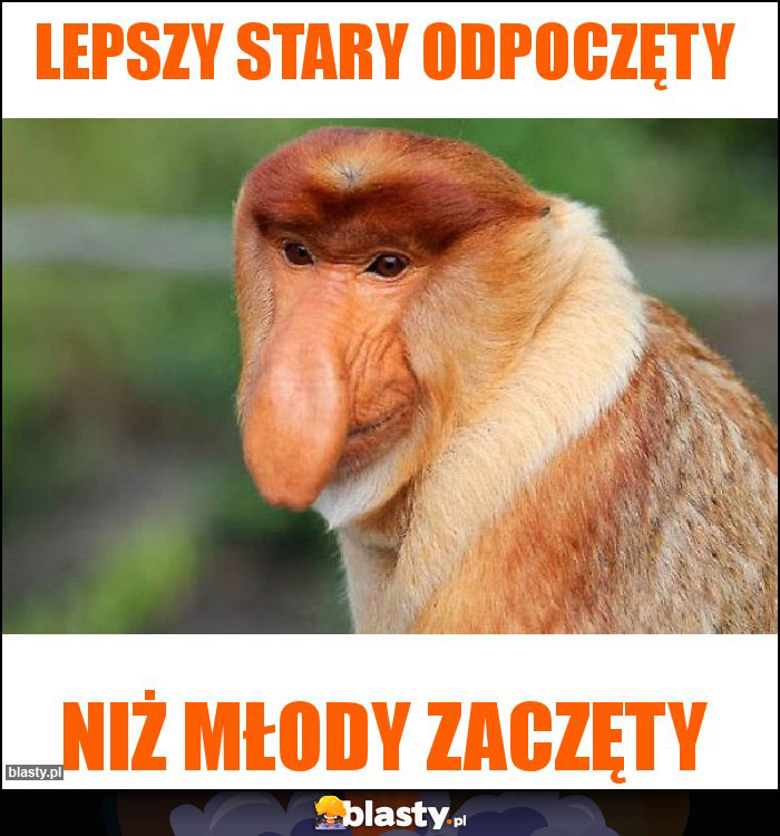 Lepszy stary odpoczęty