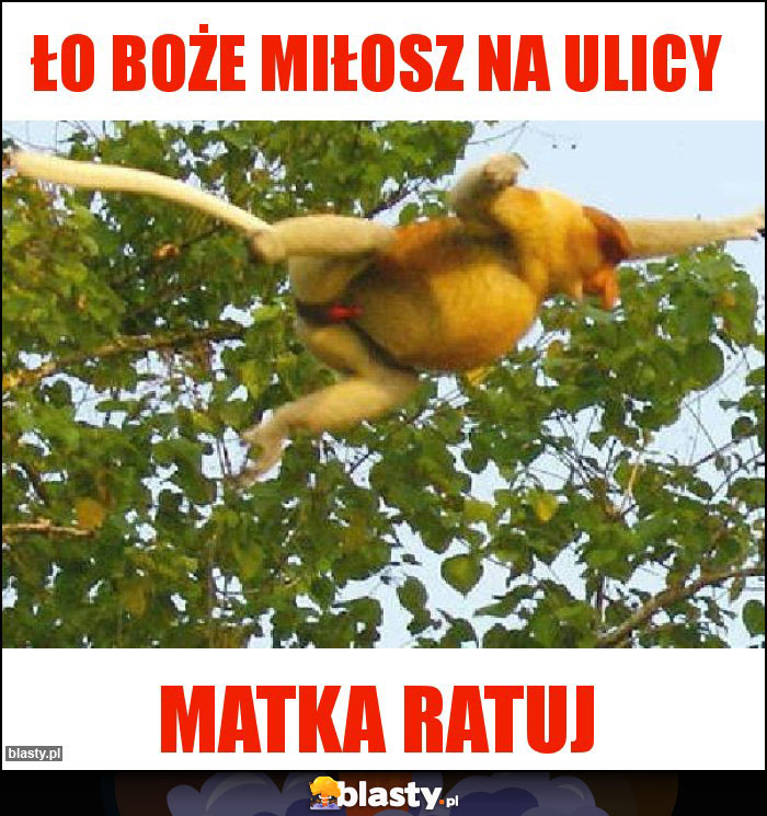 Ło Boże Miłosz na ulicy