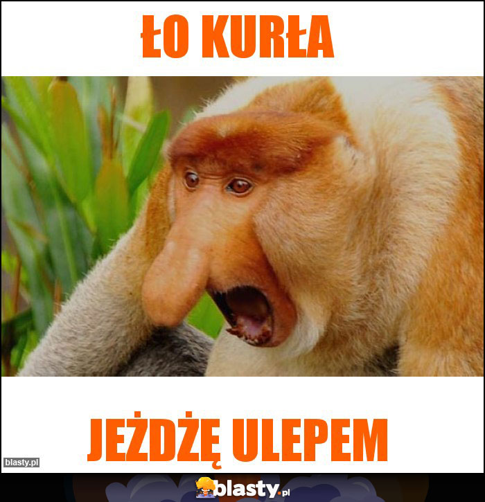 ŁO KURŁA