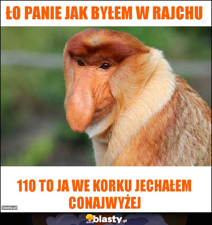 Ło panie jak byłem w rajchu