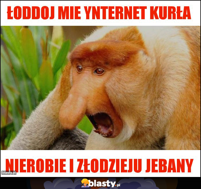 ŁODDOJ MIE YNTERNET KURŁA