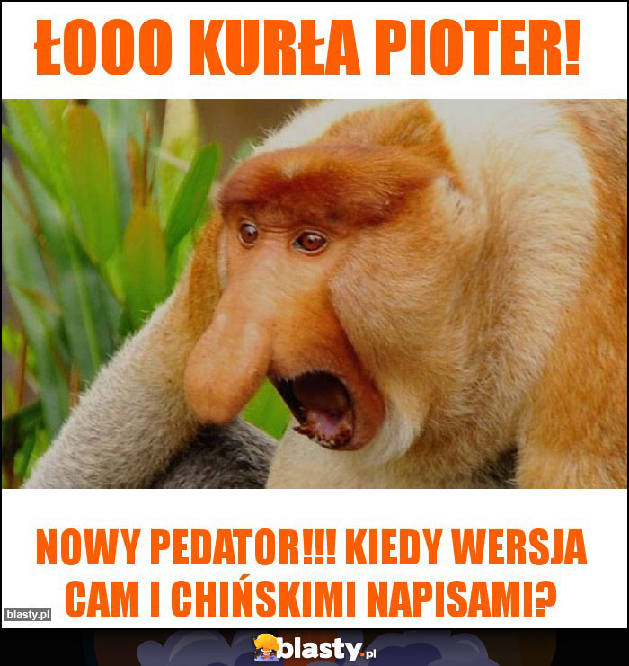 Łooo kurła Pioter!