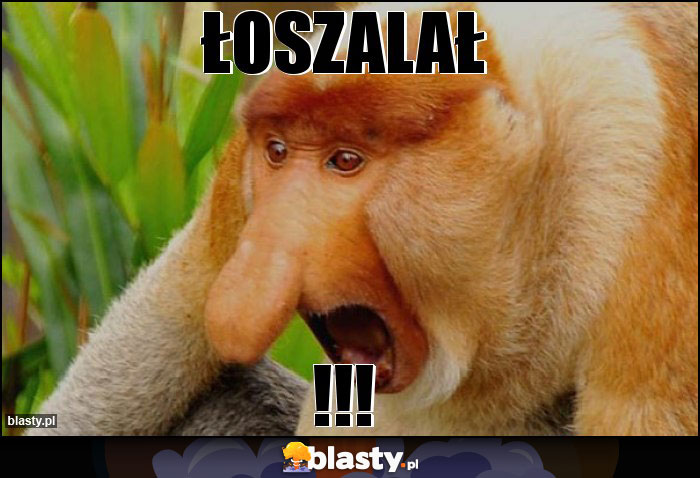 Łoszalał