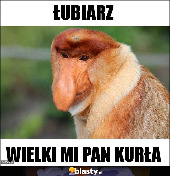 ŁUBIARZ