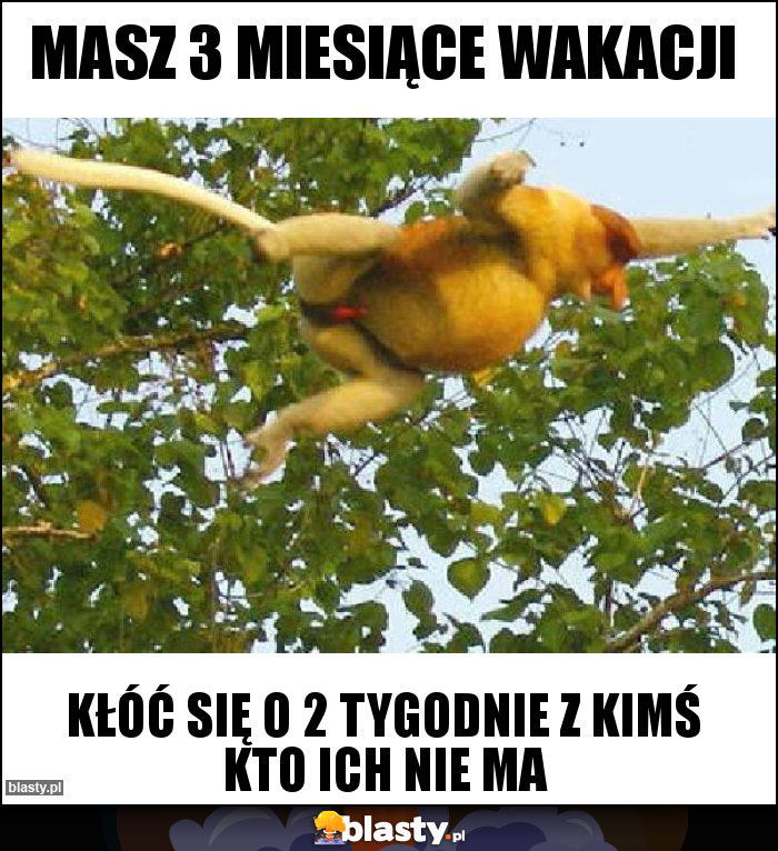 Masz 3 miesiące wakacji